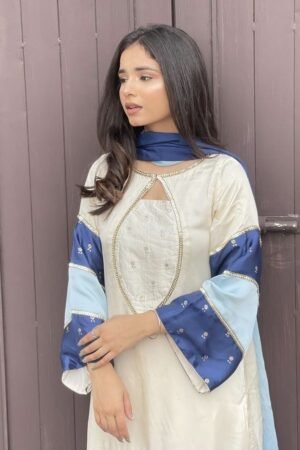 elegant women’s ethnic suits